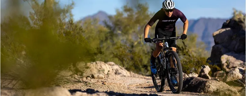 XC/short travel full suspension