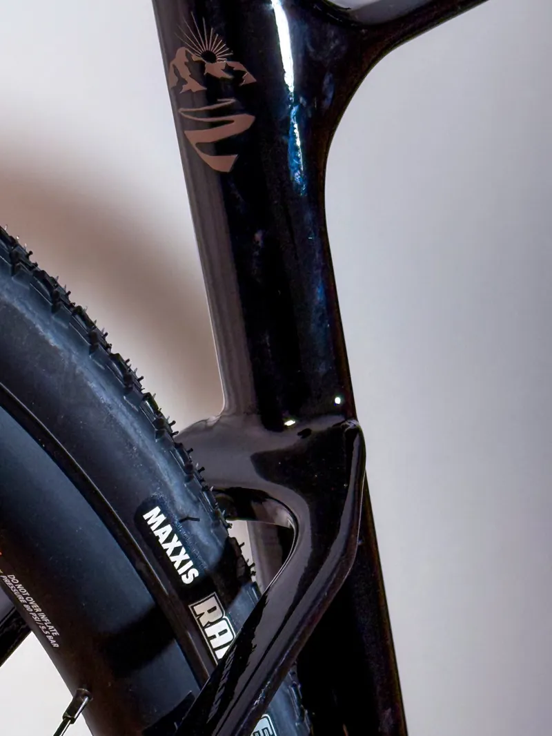 Giant Revolt Advanced 2 Gravel Bike In Gloss Carbon-5