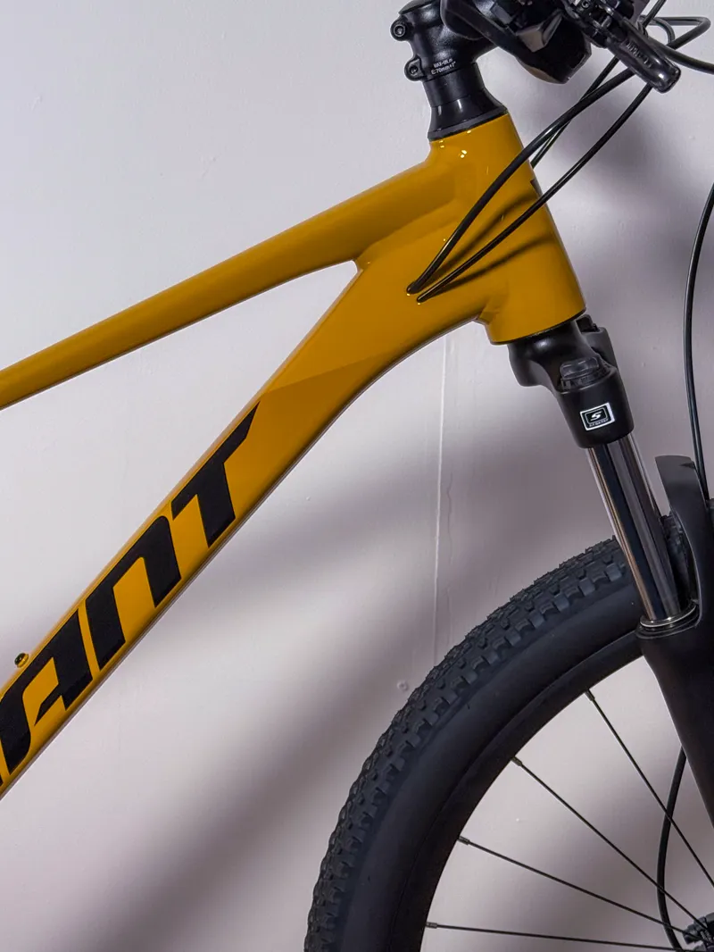 Giant Talon 3 29 Mountain Bike In Gloss Beeswax-2