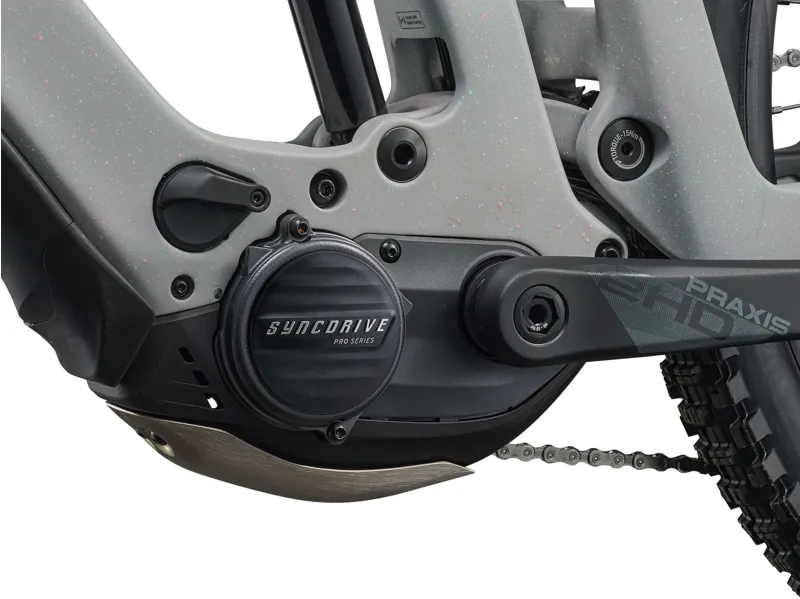 Reign Advanced E+ 2 25km/H Moon-7