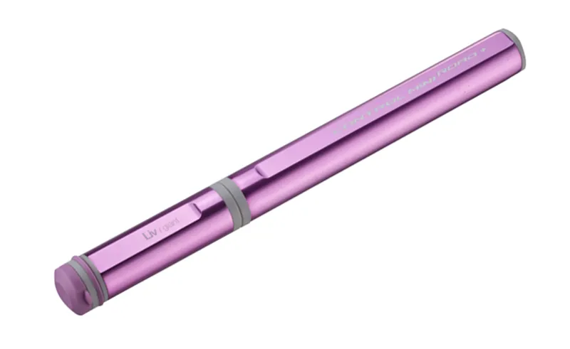 Liv Control Mini Road+ Road Bike Pump Pink